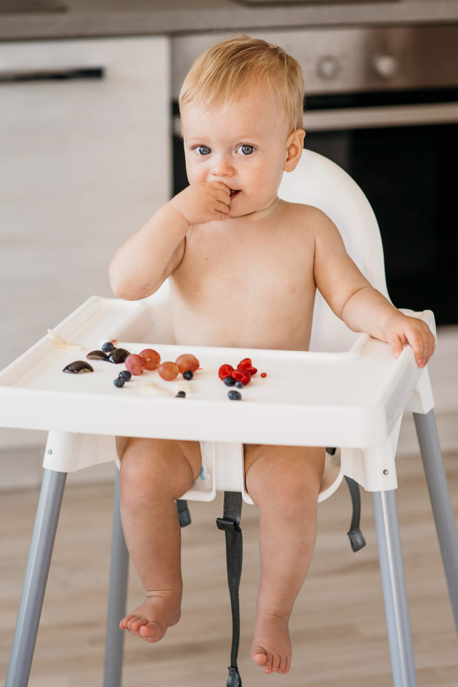 Baby High Chair (Adjustable)