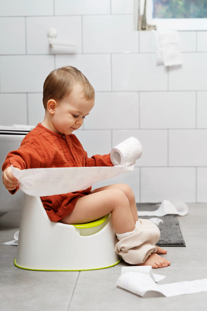 Potty Training Seat