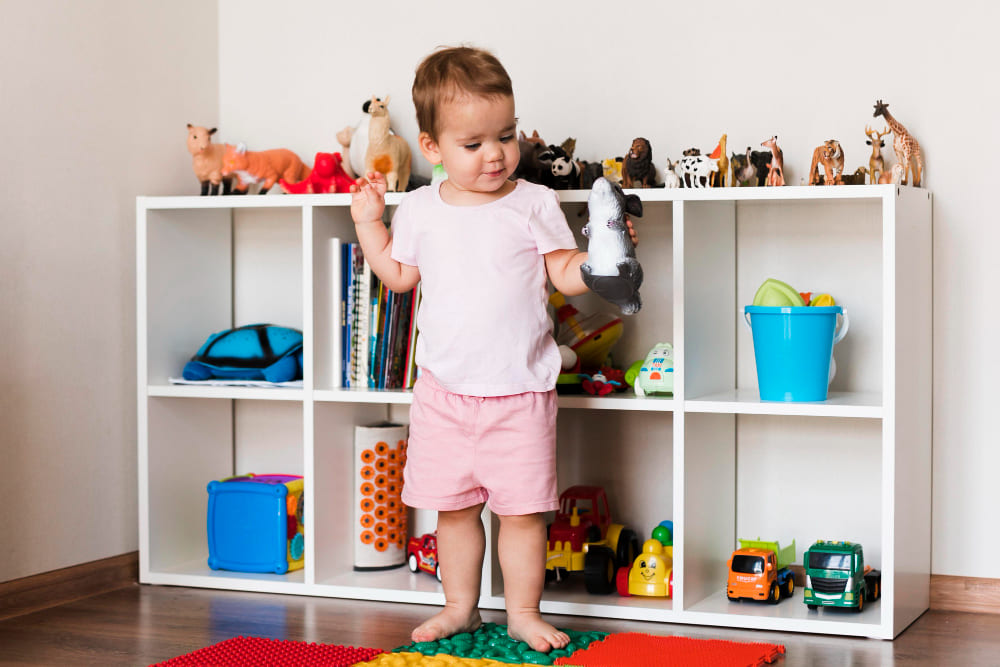 Toy Storage Organizer